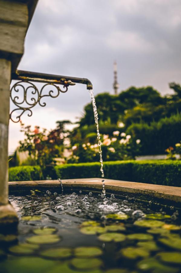 The View Boutique Hotel Йоханесбург Екстериор снимка